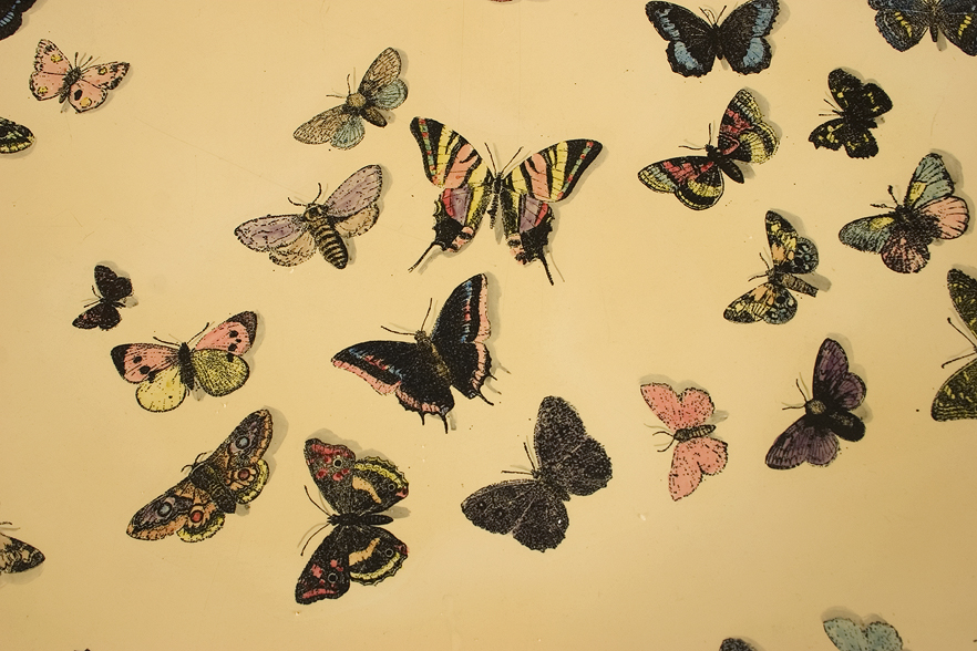 Fornasetti Butterfly Table